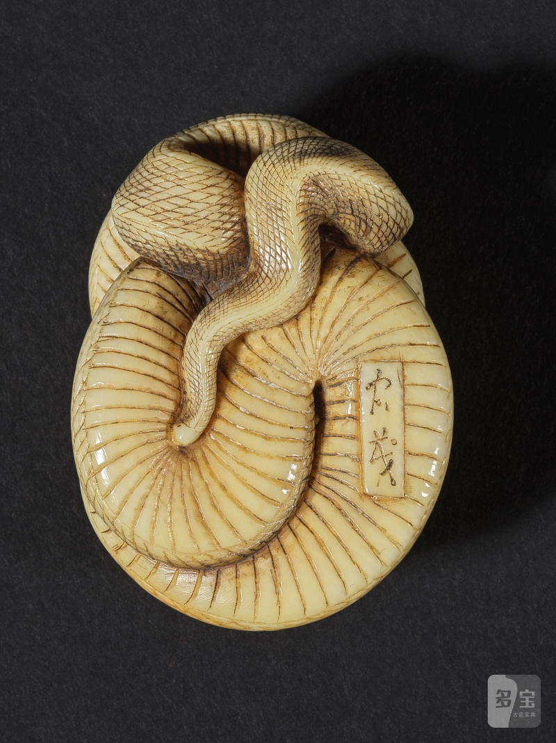 象牙彫根付 蛇 銘「忠義」 19世紀後期/20世紀前期 | NETSUKE EN IVOIRE REPRÉSENTANT UN SERPENT - 图3
